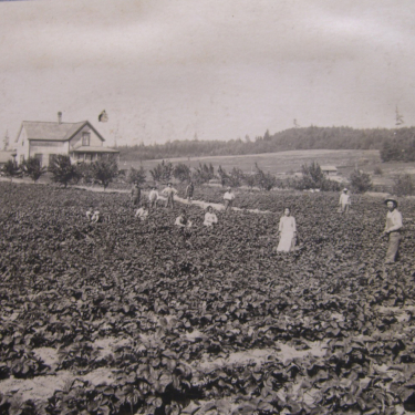 photo-sustainability-article-1